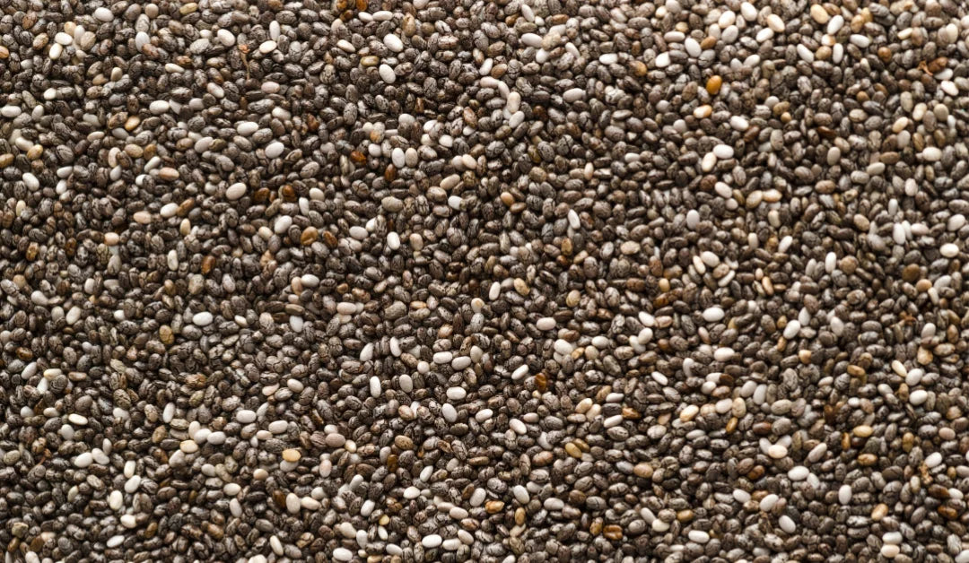 Activit top multivitamin Pakistan