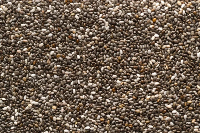 Chia Seeds in Urdu: Top 10 Tukhm-e-Sharbati Health Benefits