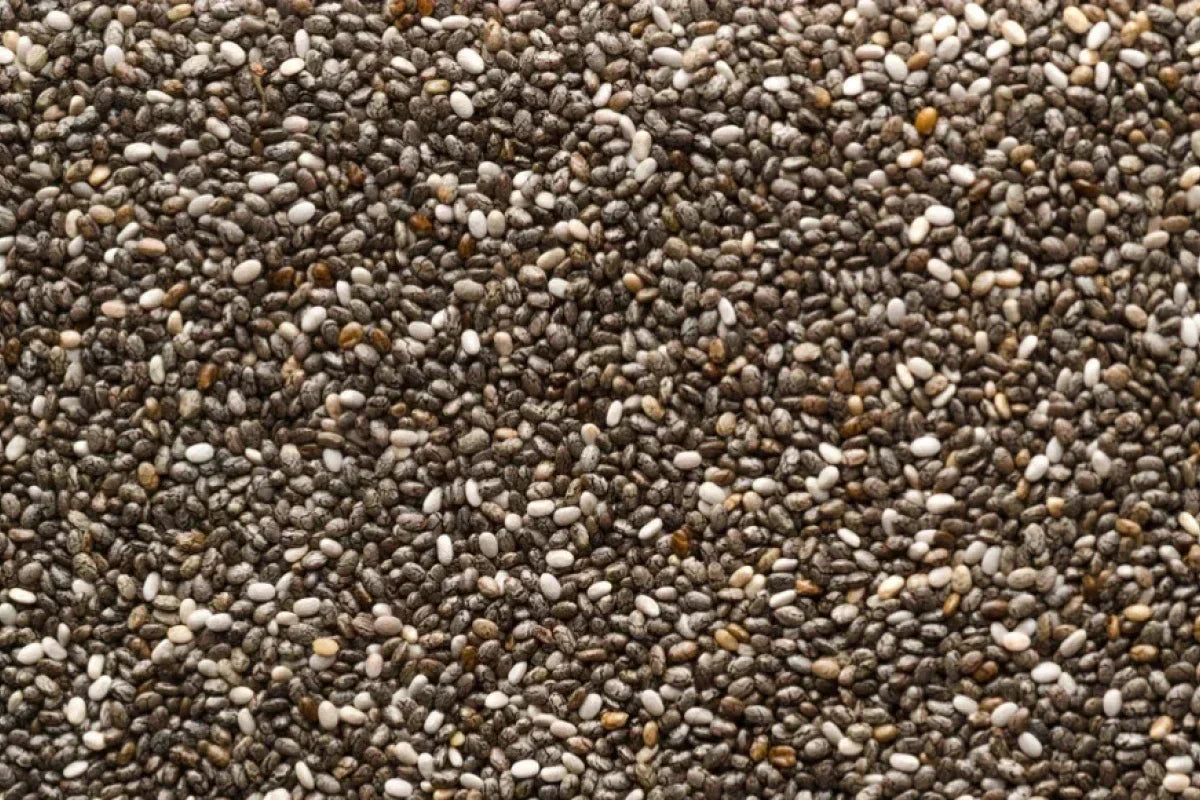 What Are Chia Seeds Called in Urdu? | چیا سیڈز کیا ہیں؟