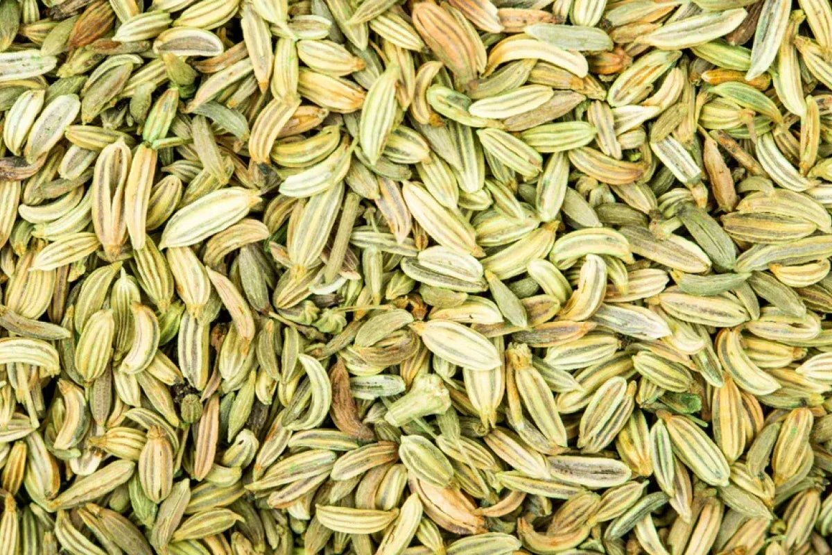 Health Benefits of Fennel Seeds: Digestion, Bloating & Hormonal Support
