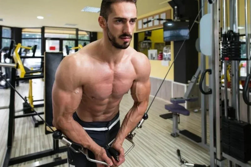 Gym Supplements That Boost Stamina and Performance