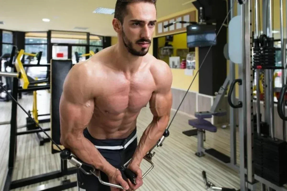 Gym Supplements That Boost Stamina and Performance