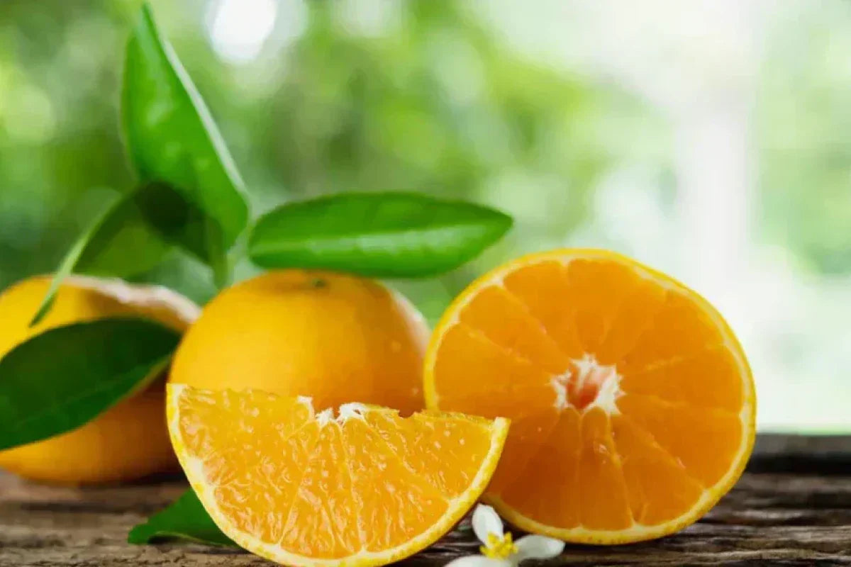 Choosing the Right Vitamin C Supplement? Liposomal Delivers More